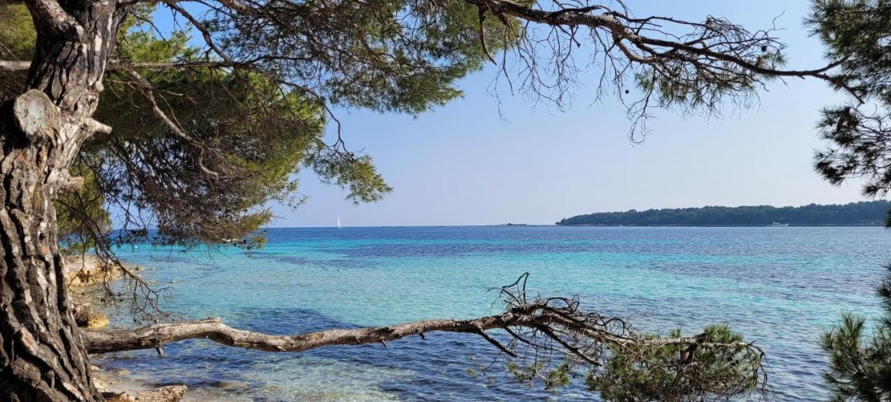 Apartamento Les Grenadines Du Samedi Au Samedi Antibes Exterior foto